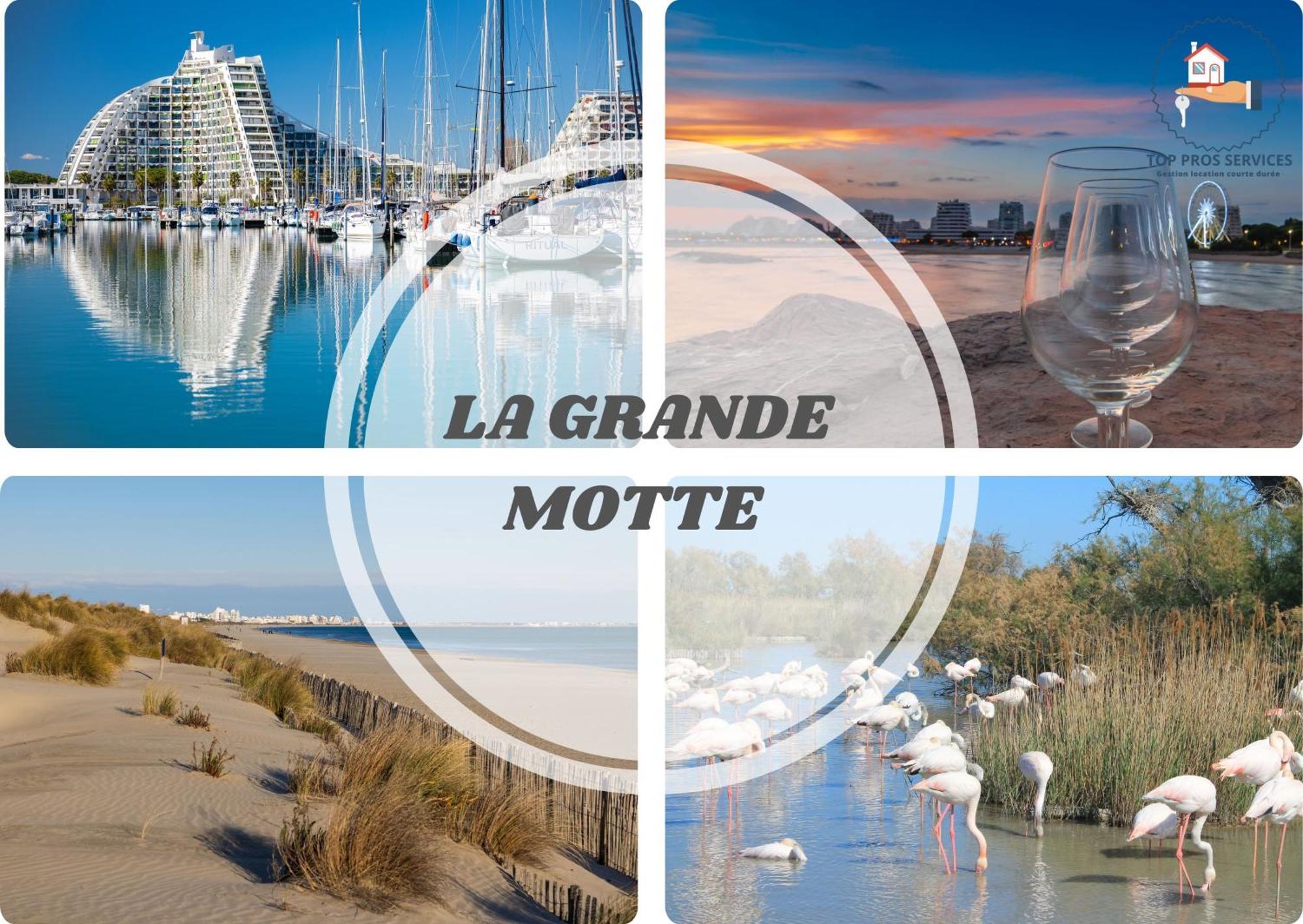 Le Cosy Wifi Clim Jardin Top Pros Servicesconciergerie 蒙彼利埃 外观 照片