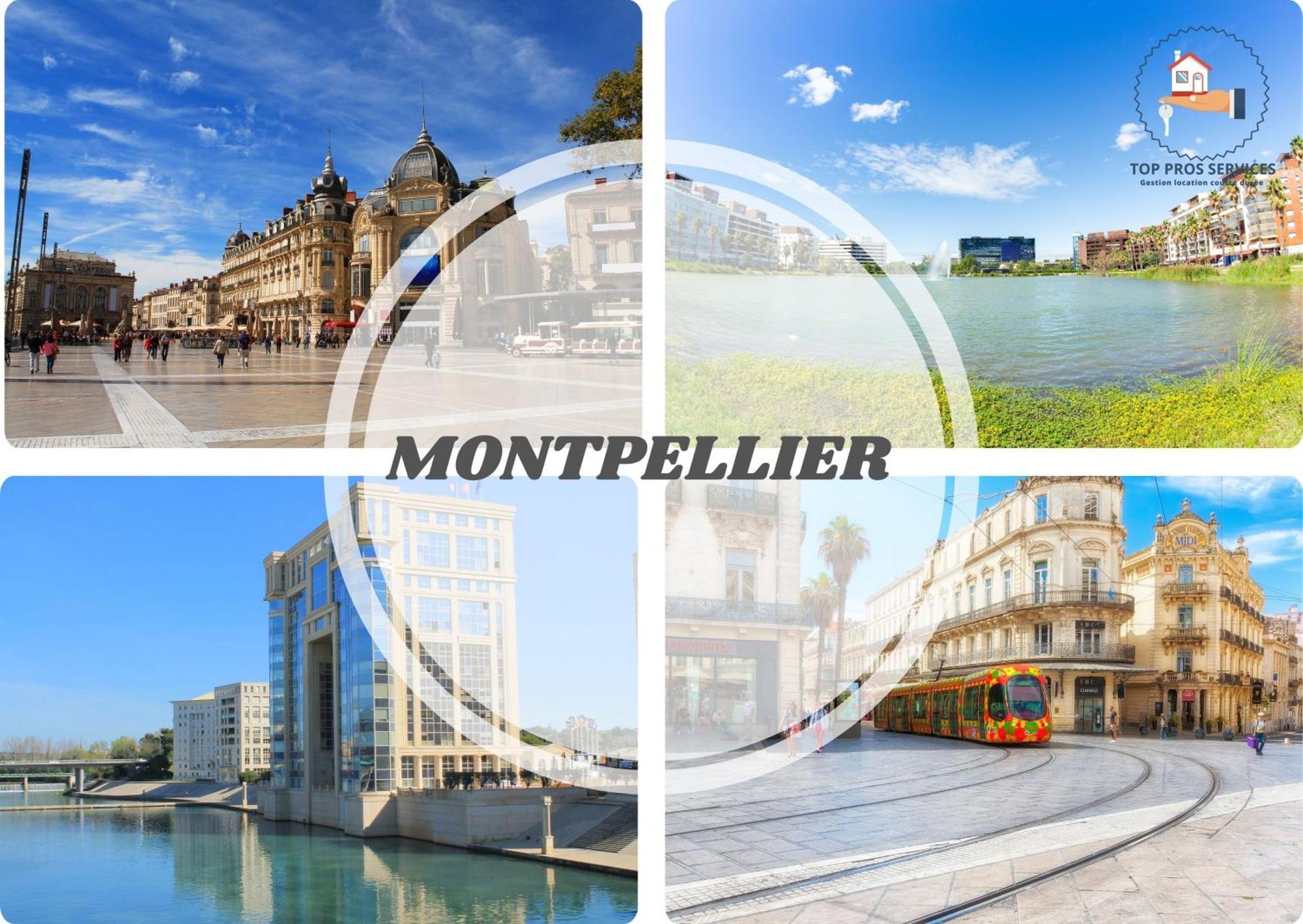 Le Cosy Wifi Clim Jardin Top Pros Servicesconciergerie 蒙彼利埃 外观 照片